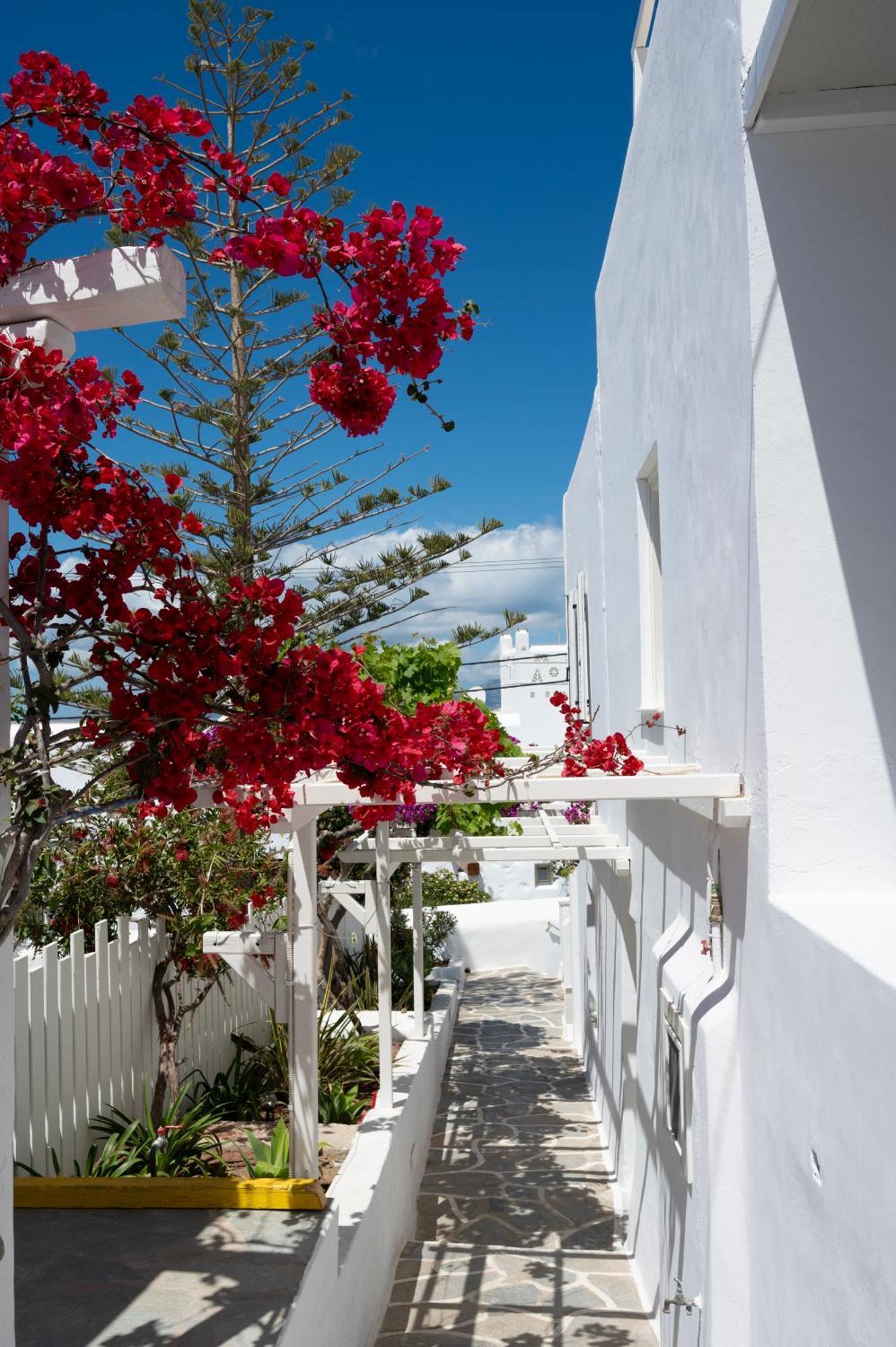 Boutique Di Vito Mykonos Town Exterior foto