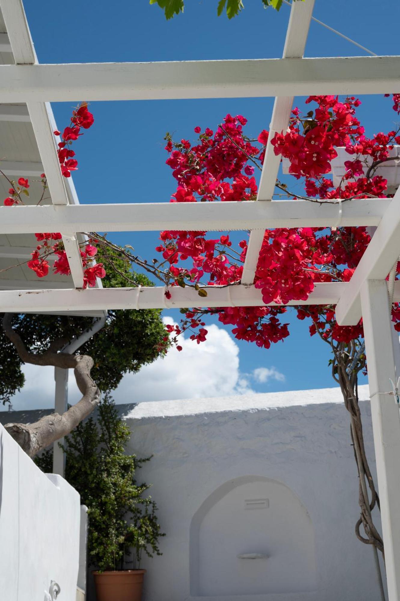 Boutique Di Vito Mykonos Town Exterior foto